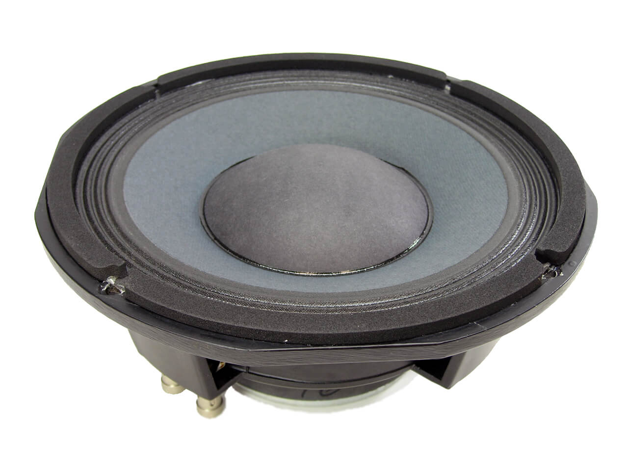 SS Audio Recone Kit for 10" PAS BG1080C Bass Guitar Speaker RKSWR10